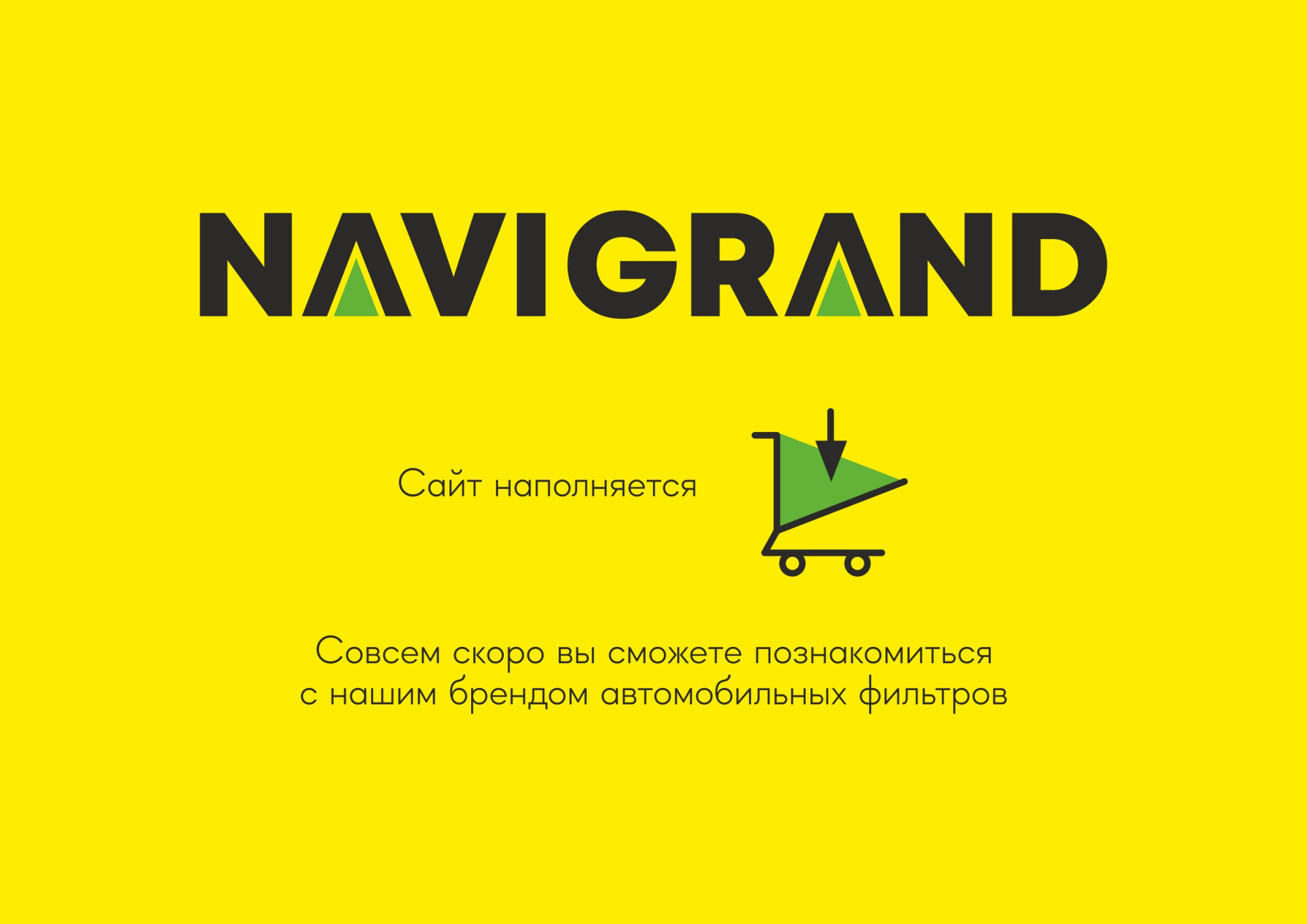 NAVIGRAND Фильтр топливный F828